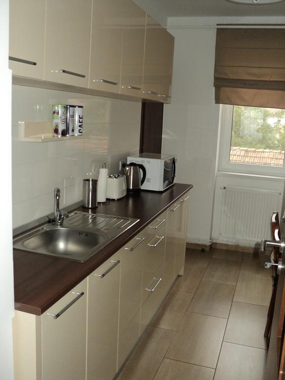 Joy Apartment Timisoara Exterior photo